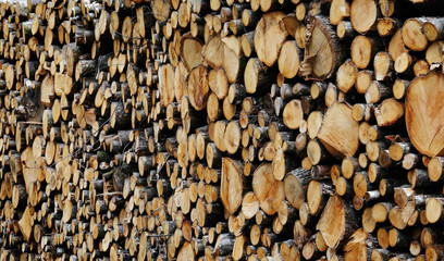 holzstapel