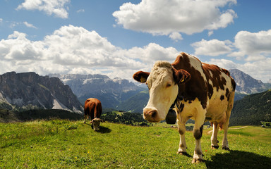 Fototapeta na wymiar Góry, Dolomity, Alpy, Włochy
