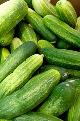 Cucumbers