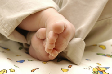 Small baby's feets