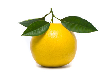 Fresh grapefruit. Macro studio white.