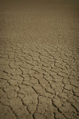 dry soil