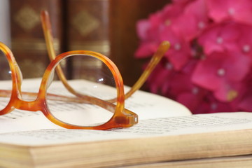 Brille auf Buch und Blumen - Glasses on book and flowers