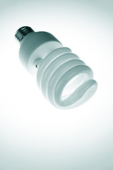 Compact Fluorescent Lightbulb