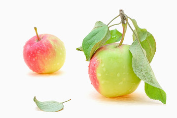 Fruit- vegetarian food
