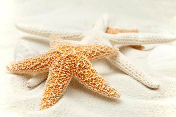 Soft Beach Sand With A Starfish
