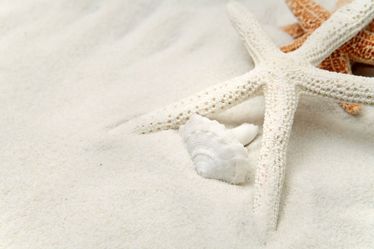 Starfish In The Sand