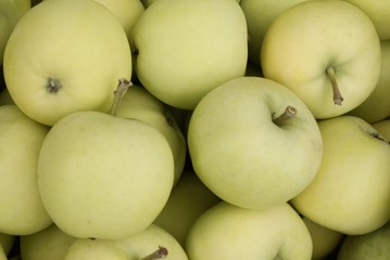 early apples pearmains