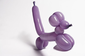Purple balloon dog