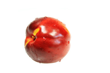 fresh nectarine