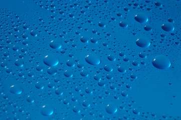 aquatic blue drops