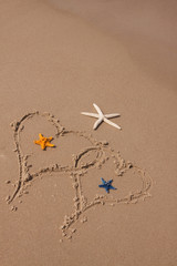Beach compositions. Shells on sand