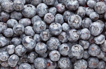 Bunch of Blueberries