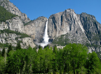 Fototapeta na wymiar Yosemite Falls w formacie poziomym