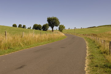 paysage d'aubrac