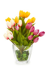 Naklejka premium Pot with tuplis isolated on white