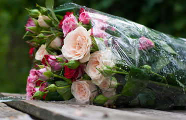 Beautiful bouquet of roses wrapped in transparent plastic sheet