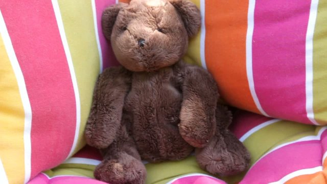 repos du nounours dans le hamac