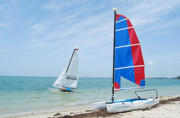 Catamarans on Biscayne Bay