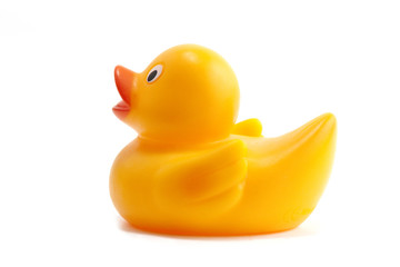 yellow rubber duck