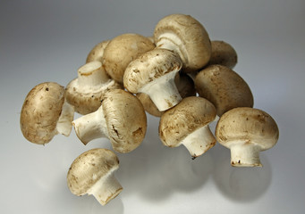 Champignons