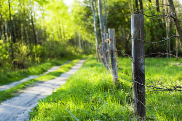 road endwise prickly fence