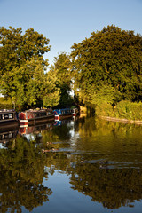 Obraz premium Canal barges reflected in calm water disturbed by ducks