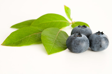 Blaubeeren und Blaubeerblätter