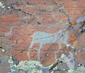 The ancient drawings on rocks Altai