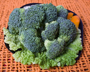 Plate of Broccoli with Lettuce and Orange Pepper