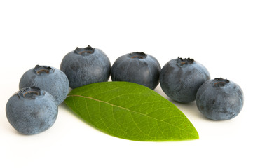 Blaubeeren mit Blaubeerblatt
