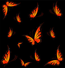 Beautiful tropical butterfly