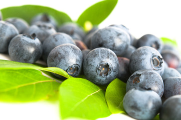 Blaubeeren und Blaubeerblätter