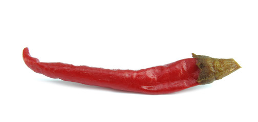 Red hot chili pepper