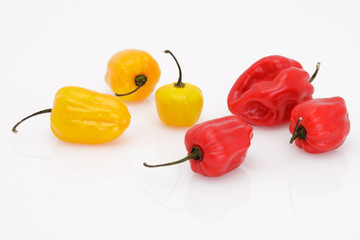 Rote und gelbe Habaneros