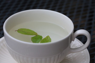 Mint leaves in a teacup