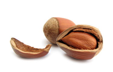Hazelnut broken shell
