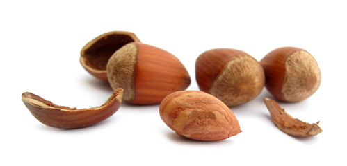 Hazelnuts