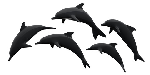 Fototapeta premium dolphins jumping on white background