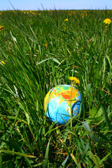 globe in grass