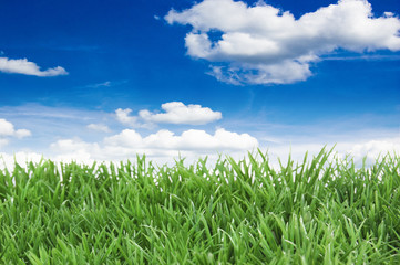 Fototapeta premium Sonne, Wolken, Himmel, Wiese