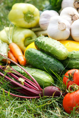 fresh vegetables..
