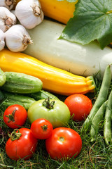 fresh vegetables..