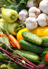 fresh vegetables..