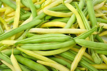 Green and yellow wax bean pods