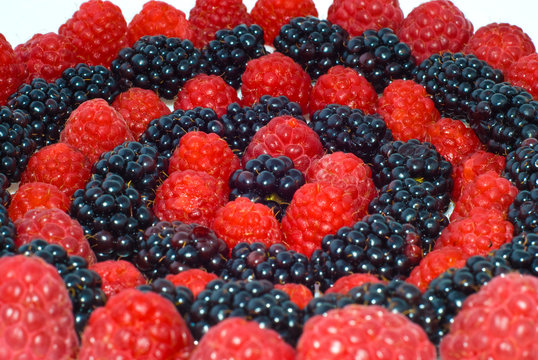 Blackberries and raspberries circles
