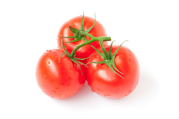 red tomato with drops isolated