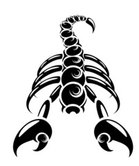 Isolated scorpion in danger pose