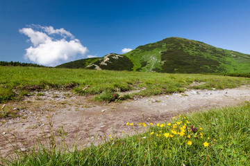 Mountain-ridge, yellow flowers and blue sky