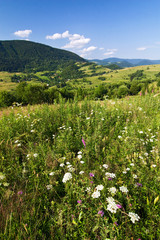 Summer meadow and beautiful mountain landscape